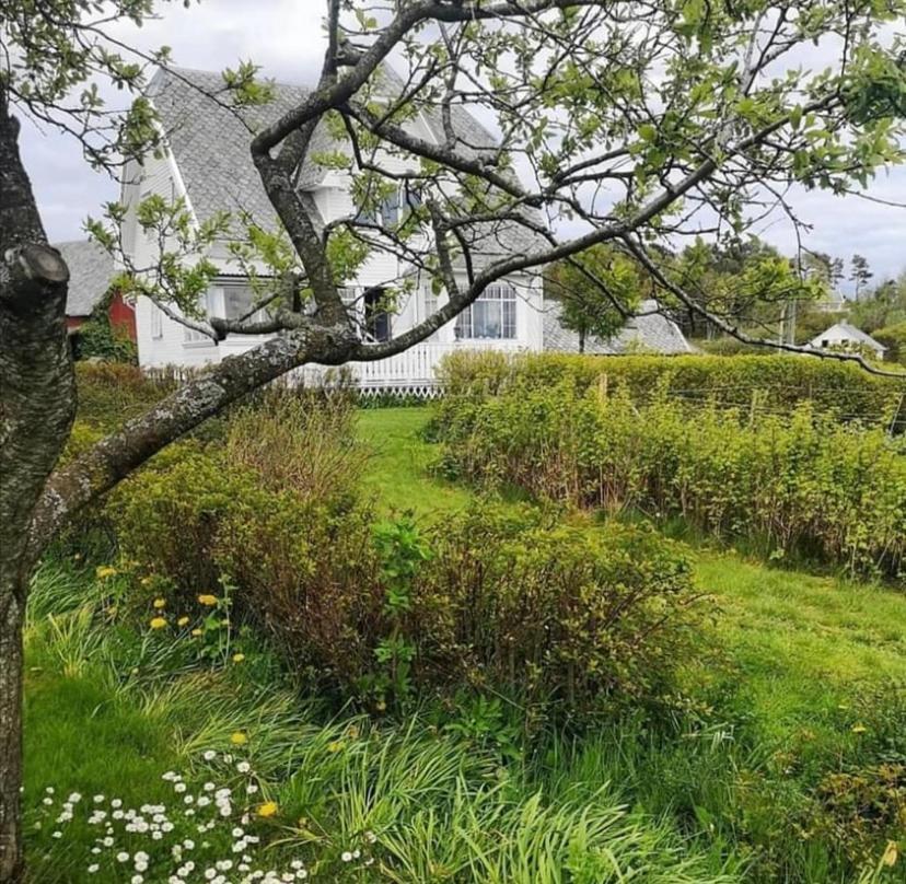 Shared Farmhouse Stavanger Eksteriør billede