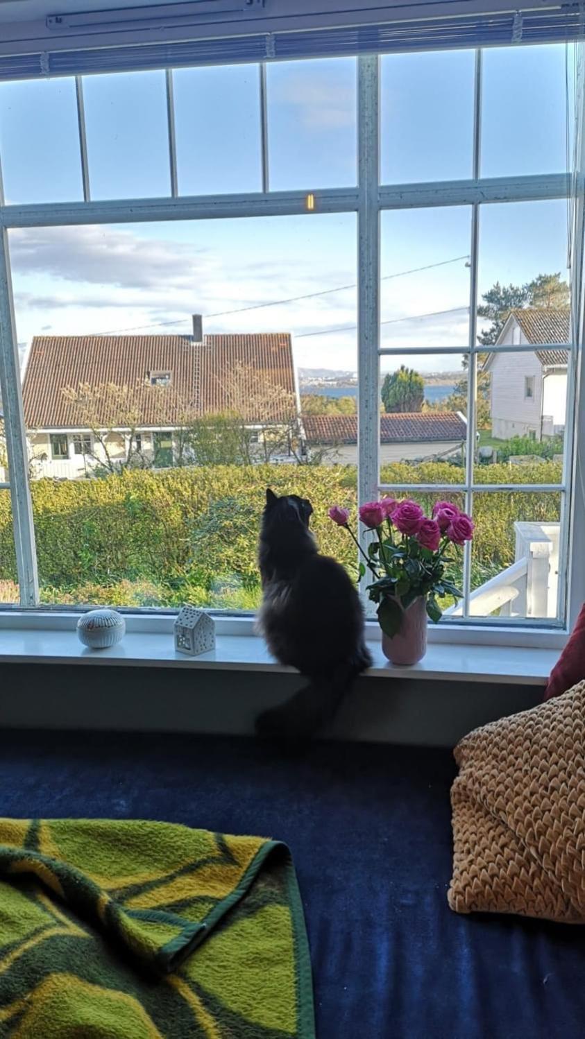 Shared Farmhouse Stavanger Eksteriør billede